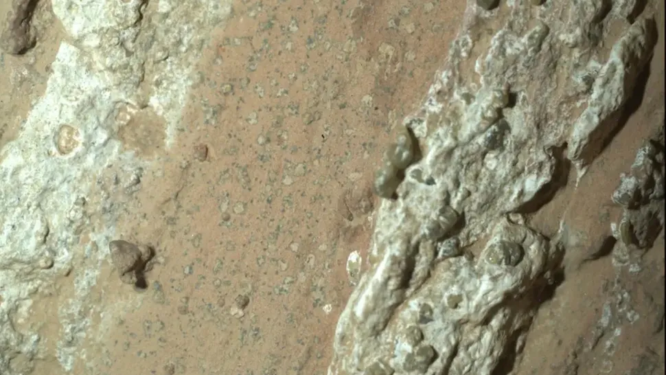 毅力号证实火星文明存在__毅力号发现火星化石