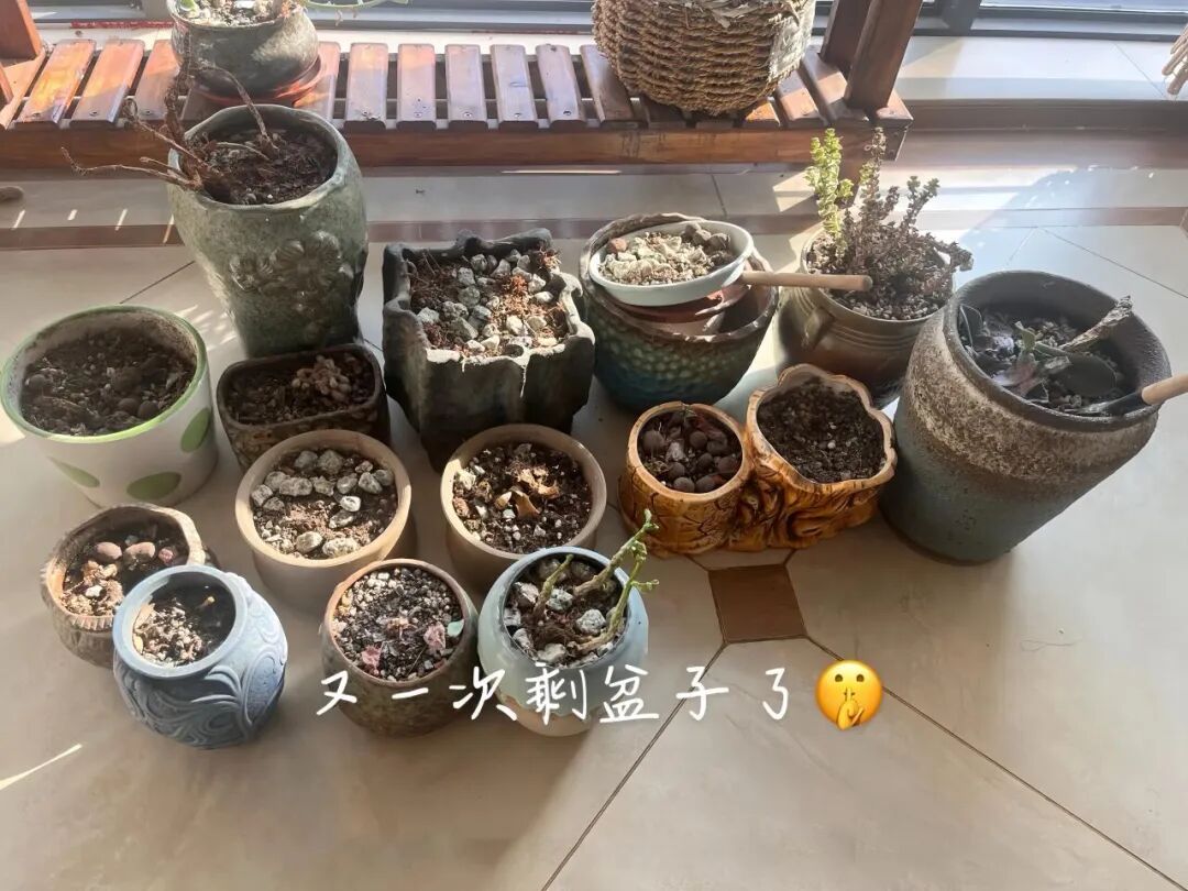_有一种痛苦叫“厨房乱抄作业”，入住两个月，全是生活痛点！_有一种痛苦叫“厨房乱抄作业”，入住两个月，全是生活痛点！