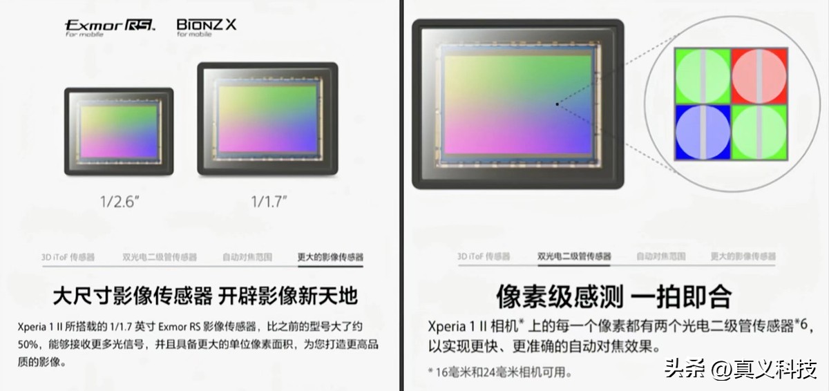 _elona信仰已精深到极致_索尼曾经的辉煌