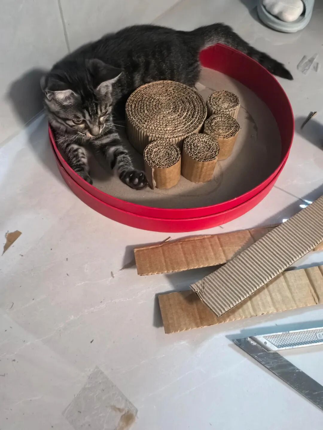 吃完月饼的盒子只能扔掉？看完网友的脑洞后，发现自己亏大了__吃完月饼的盒子只能扔掉？看完网友的脑洞后，发现自己亏大了