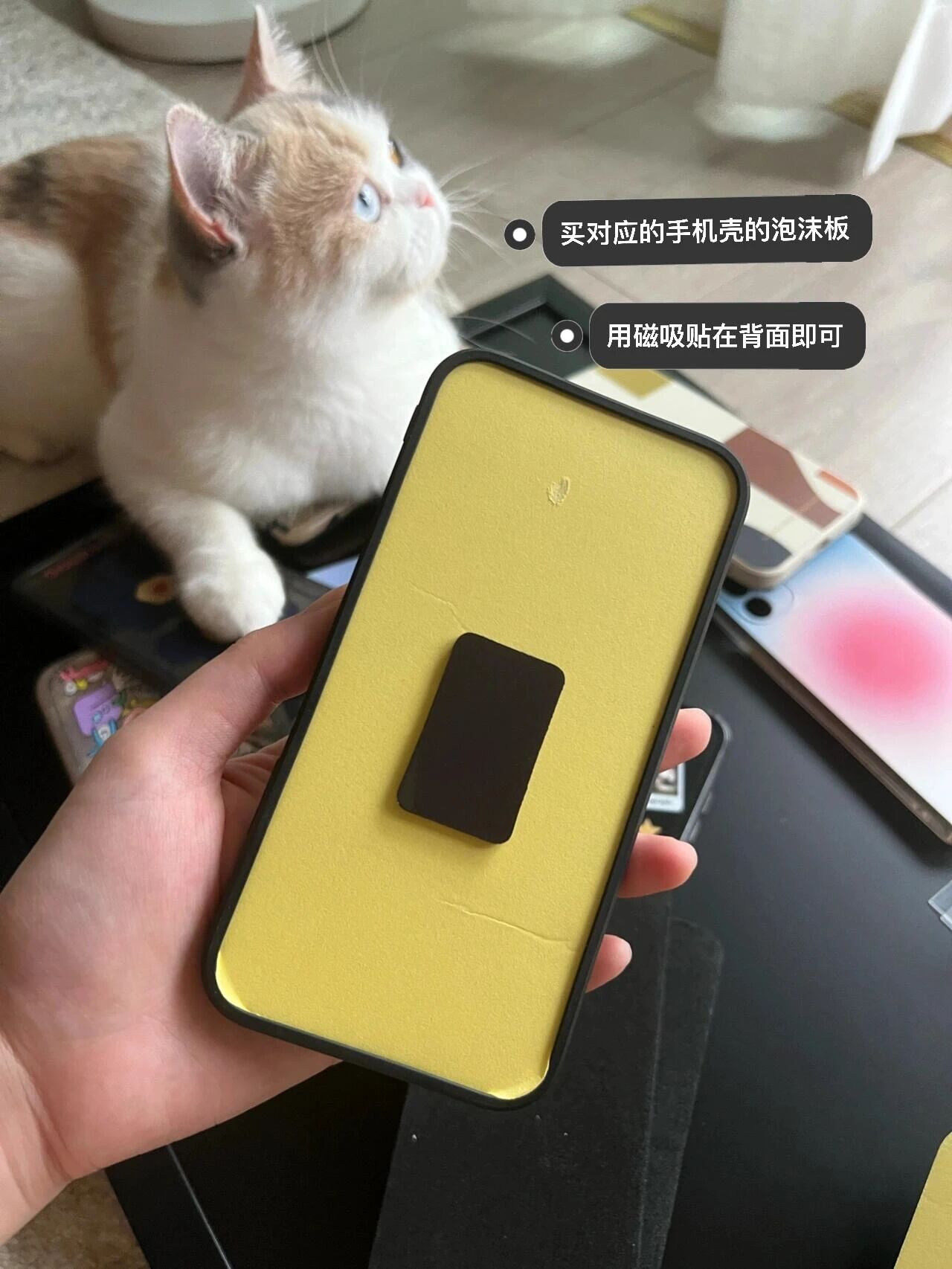 只能直接扔马桶吗_不粘锅涂层掉了只能扔_