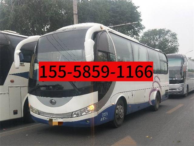 苍南到天长客车大巴：贴心服务暖人心-有驾