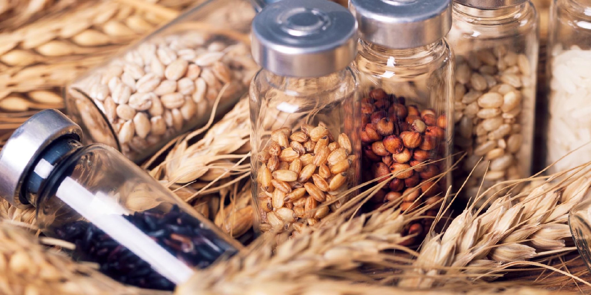 一季度亏损原因_一季度亏损二季度盈利_