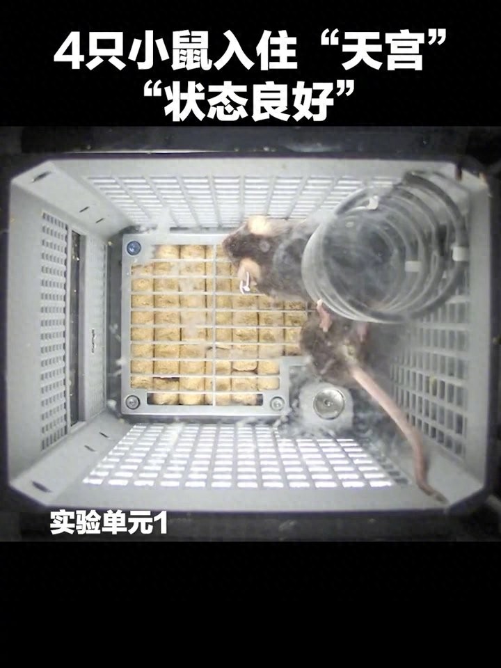 _航天员在天宫待多久_航天员入驻天宫