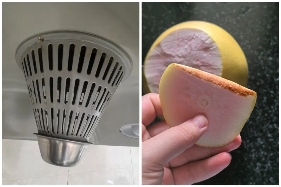 “柚子”吃完只能把皮扔掉?看完网友的脑洞后,我又悄悄捡回来了_“柚子”吃完只能把皮扔掉?看完网友的脑洞后,我又悄悄捡回来了_