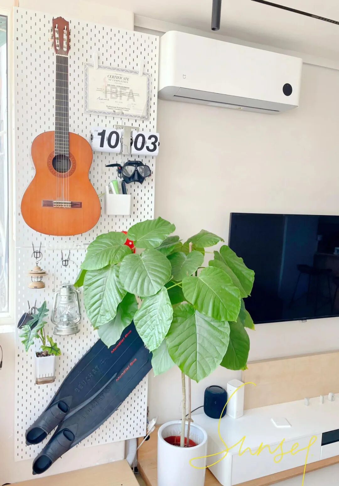 空调管子太丑怎么办？看了网友家的做法后，发现全是绝妙点子_空调管子太丑怎么办？看了网友家的做法后，发现全是绝妙点子_