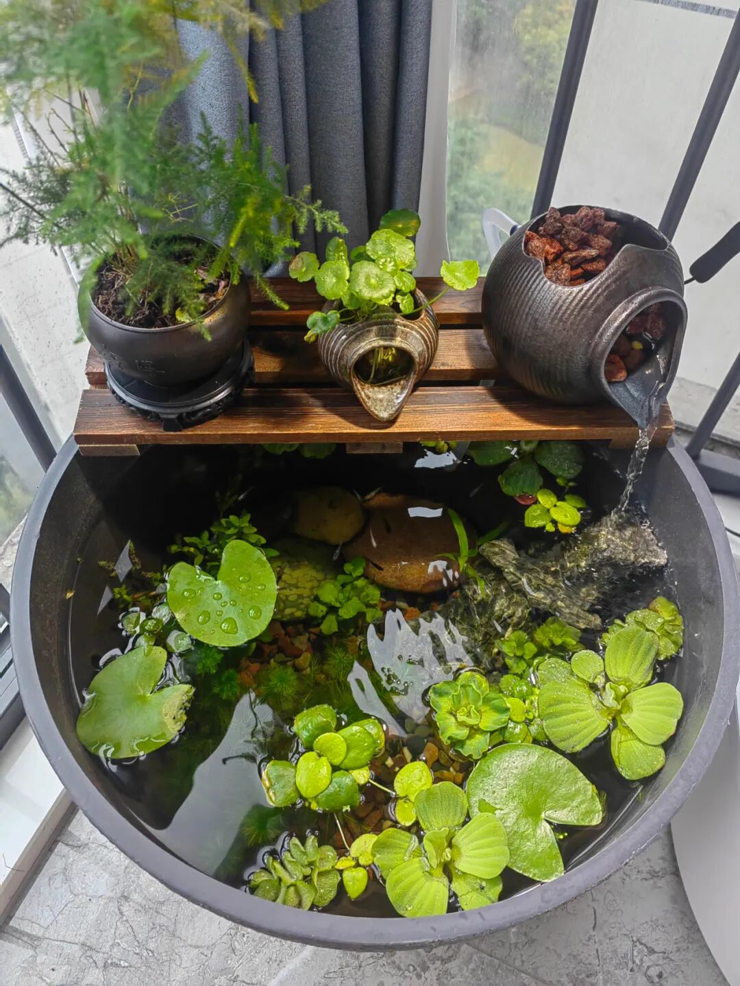 闲置花盆妙用_闲置物品做花盆_