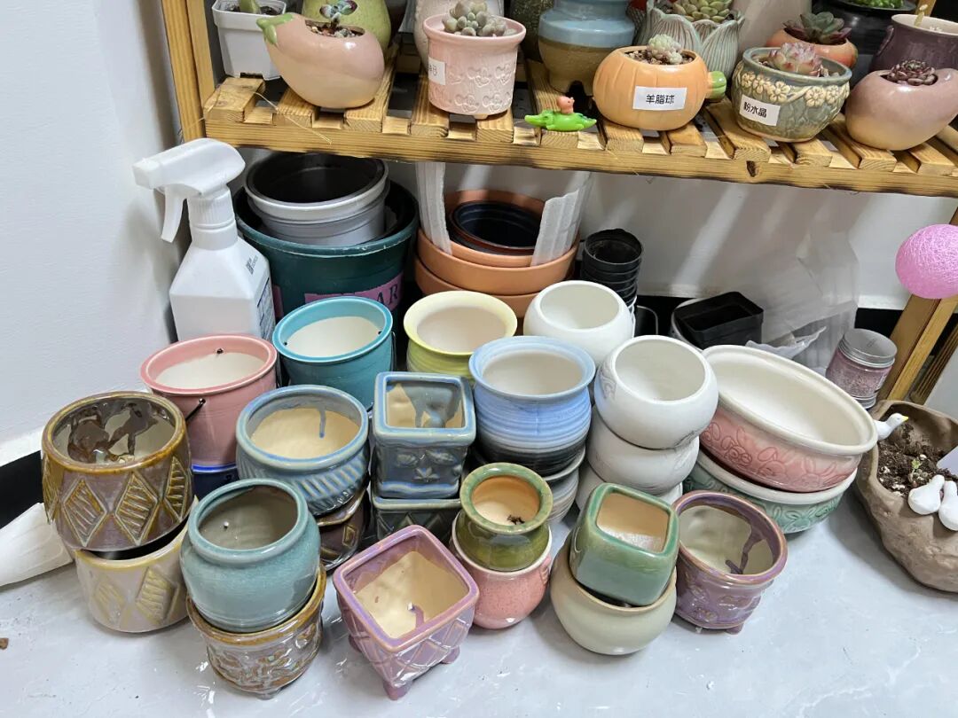 闲置物品做花盆__闲置花盆妙用