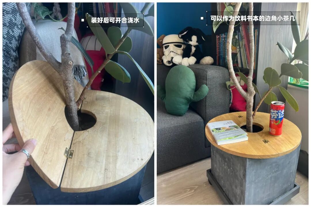 闲置物品做花盆_闲置花盆妙用_