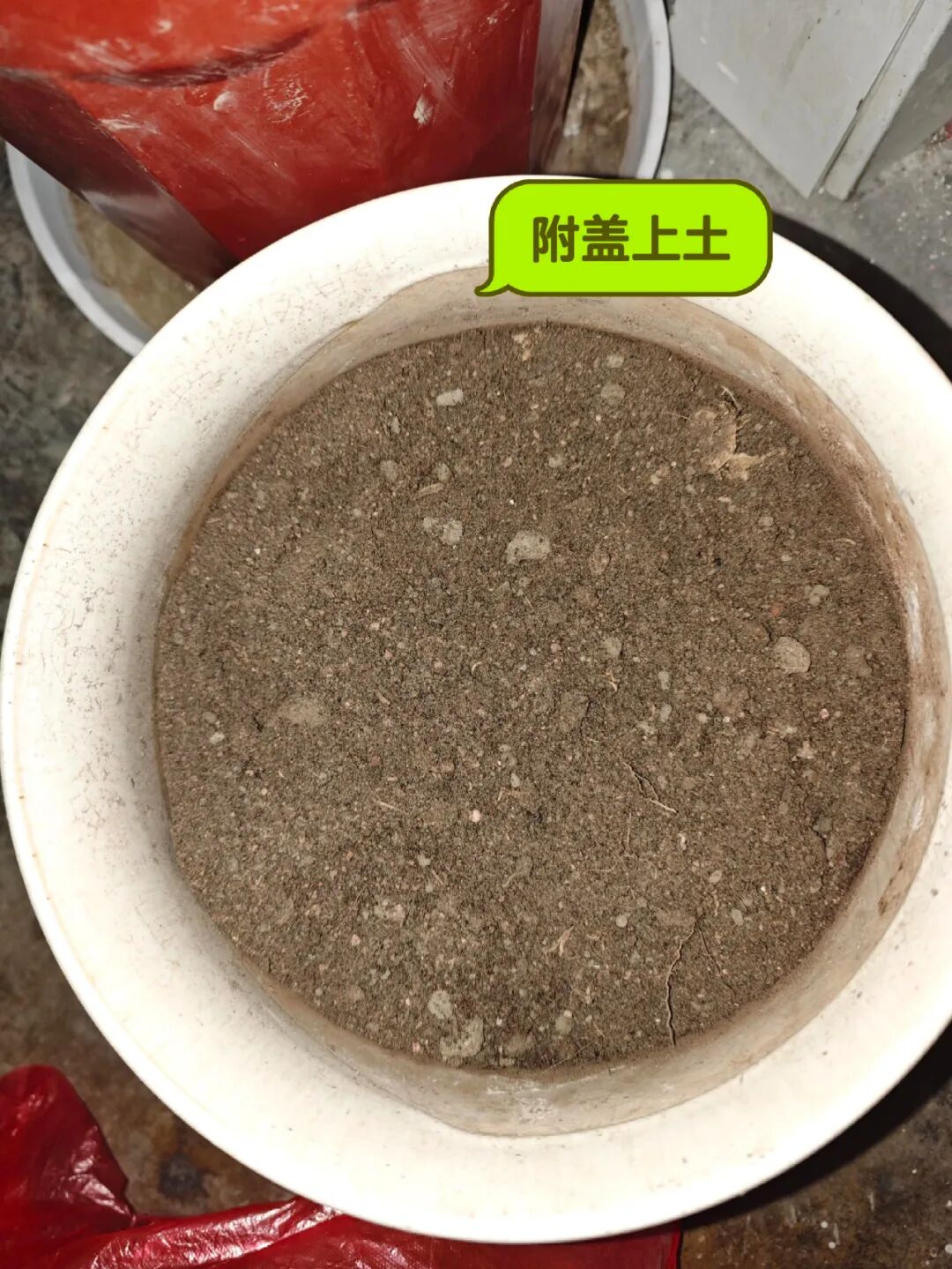 _闲置花盆妙用_闲置物品做花盆