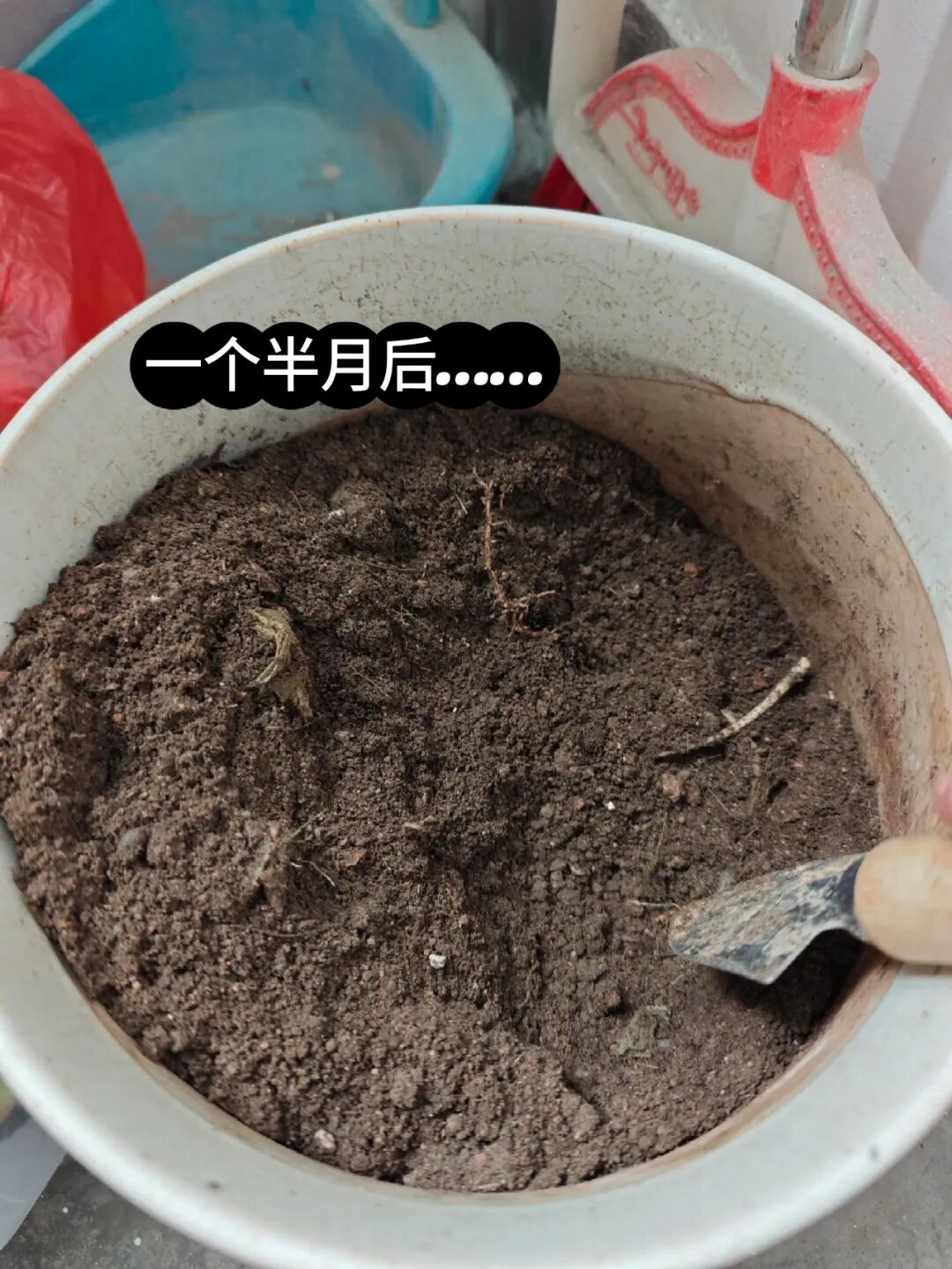 _闲置物品做花盆_闲置花盆妙用