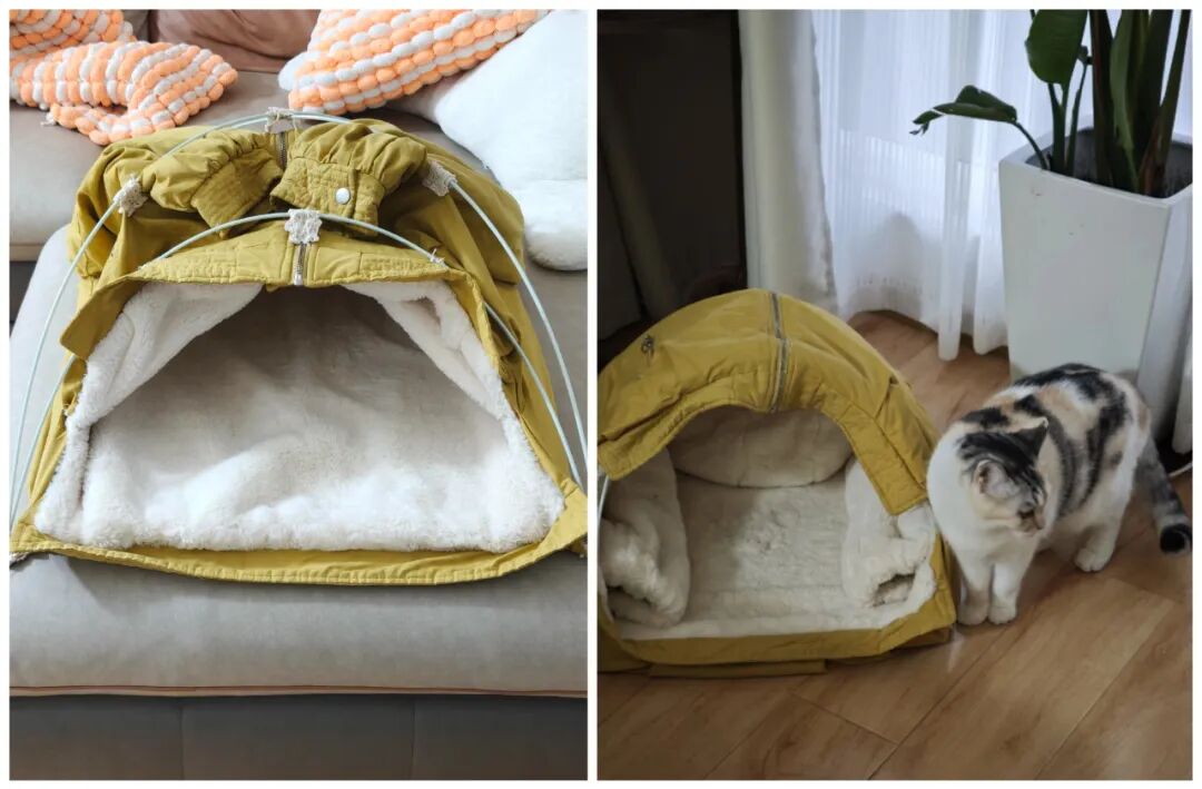 人疯了脑子什么感觉__浪费脑力