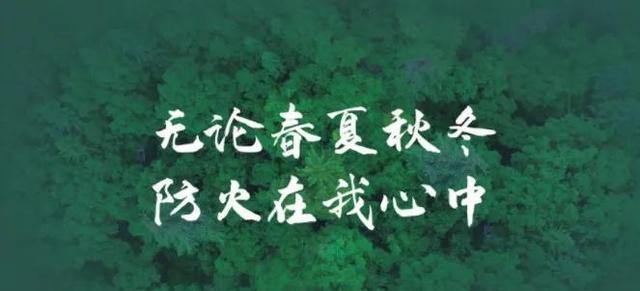 宜宾考察重庆动力电池，探访赛力斯长安工厂，挖掘合作新机遇-有驾