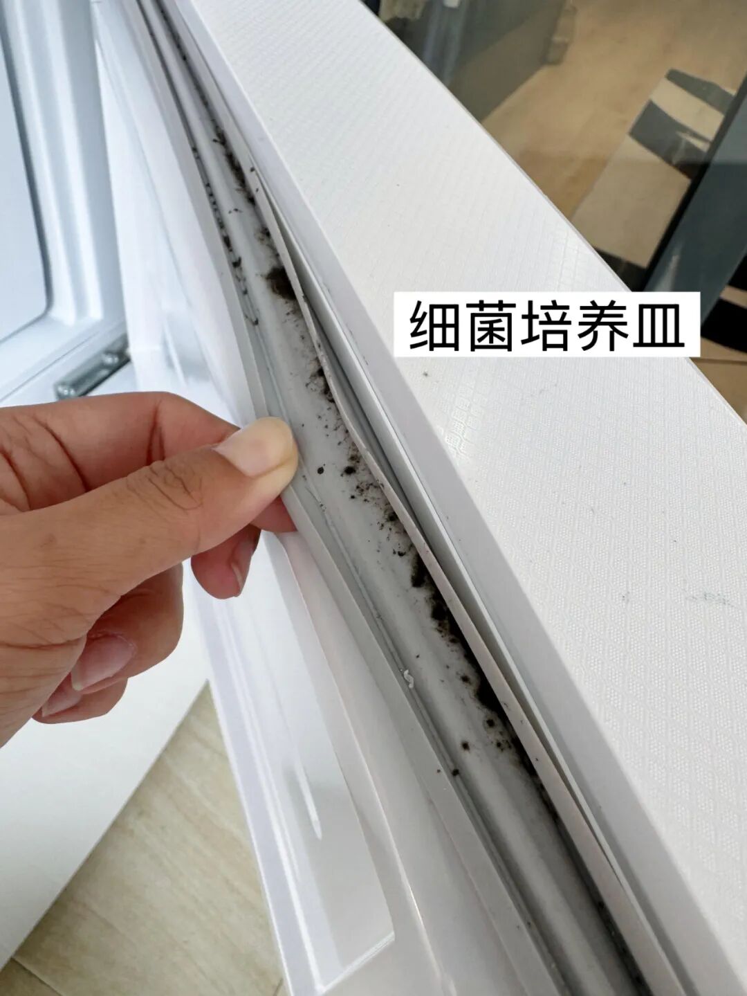 邪令是什么意思__被年轻人的“邪修妙招”惊到了！一分钱不花，就解决了生活痛点