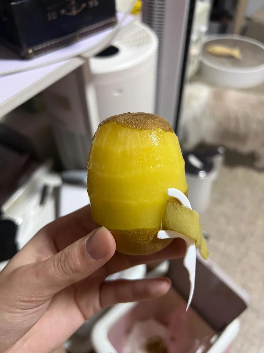 被年轻人的“邪修妙招”惊到了！一分钱不花，就解决了生活痛点__邪令是什么意思