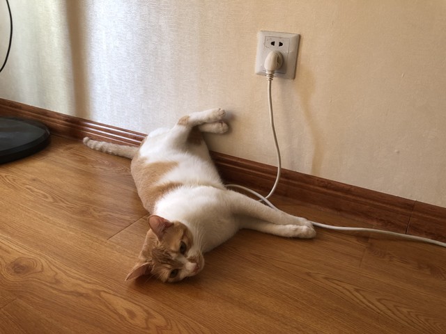 _轨道插座的原理_轨道插座的轨道安装有图吗