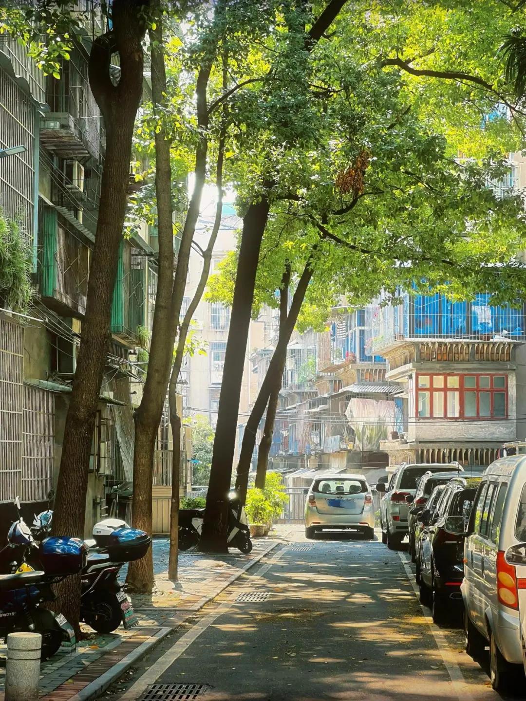 _80后农村房屋图片_80后的老房子