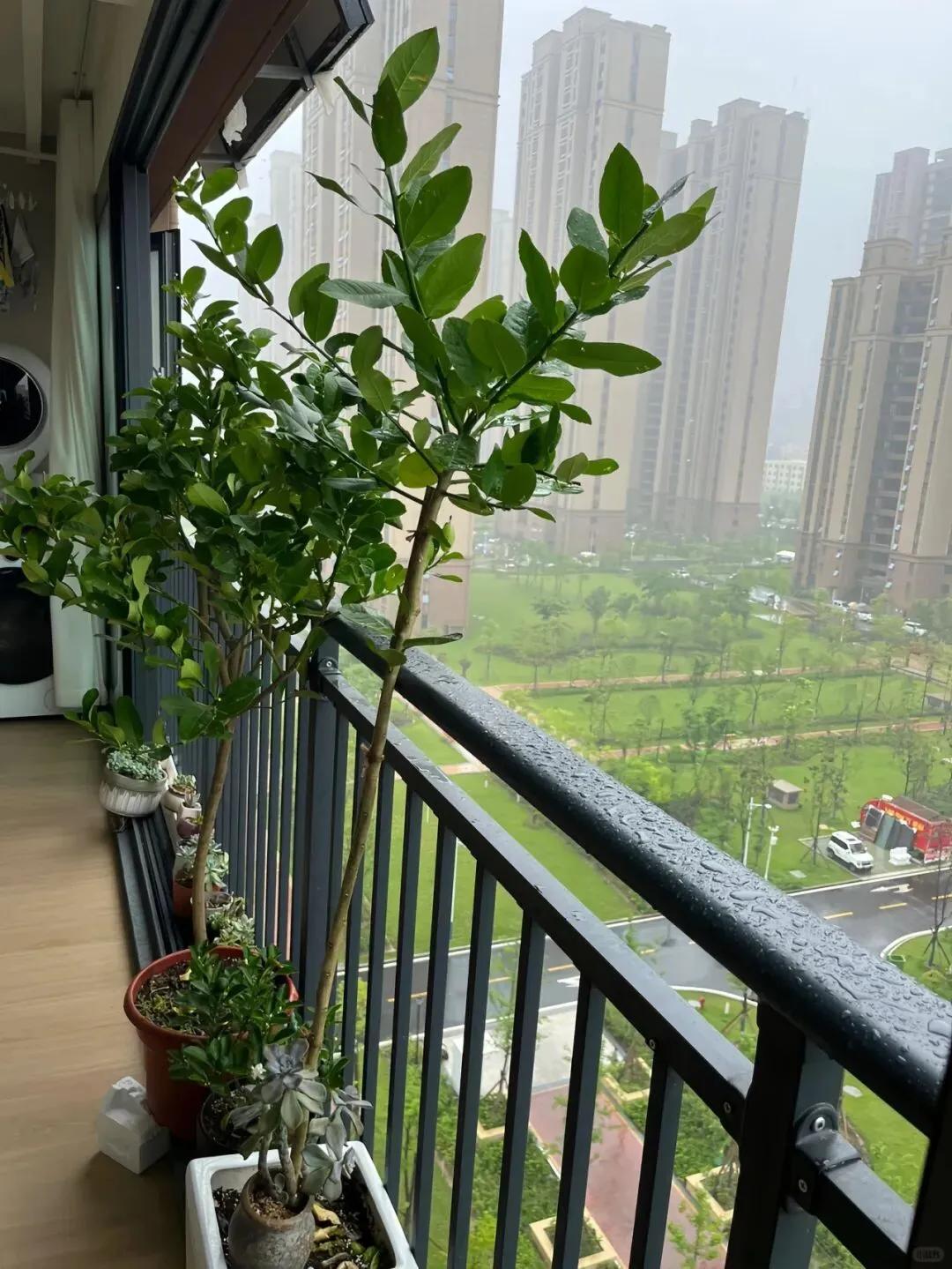 80后农村房屋图片__80后的老房子