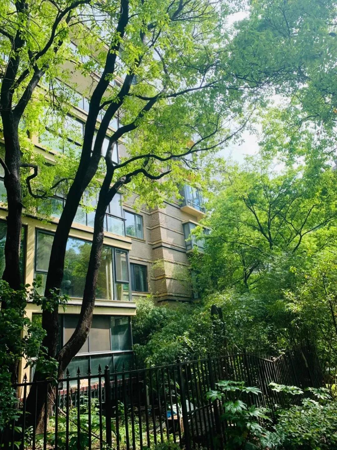 80后农村房屋图片__80后的老房子