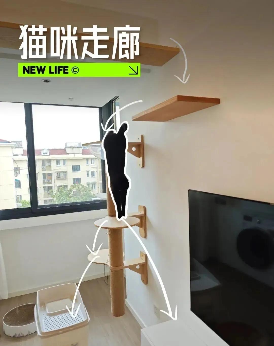 室内走廊式格局浪费面积_走廊空间利用_