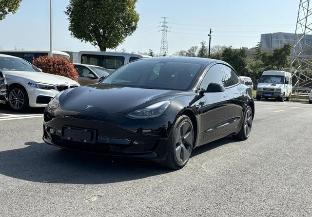 女创业者一年特斯拉体验 商务利器远超代步车-有驾