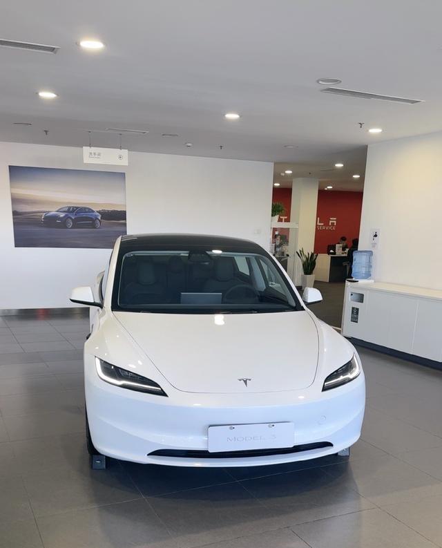 女创业者一年特斯拉体验 商务利器远超代步车-有驾