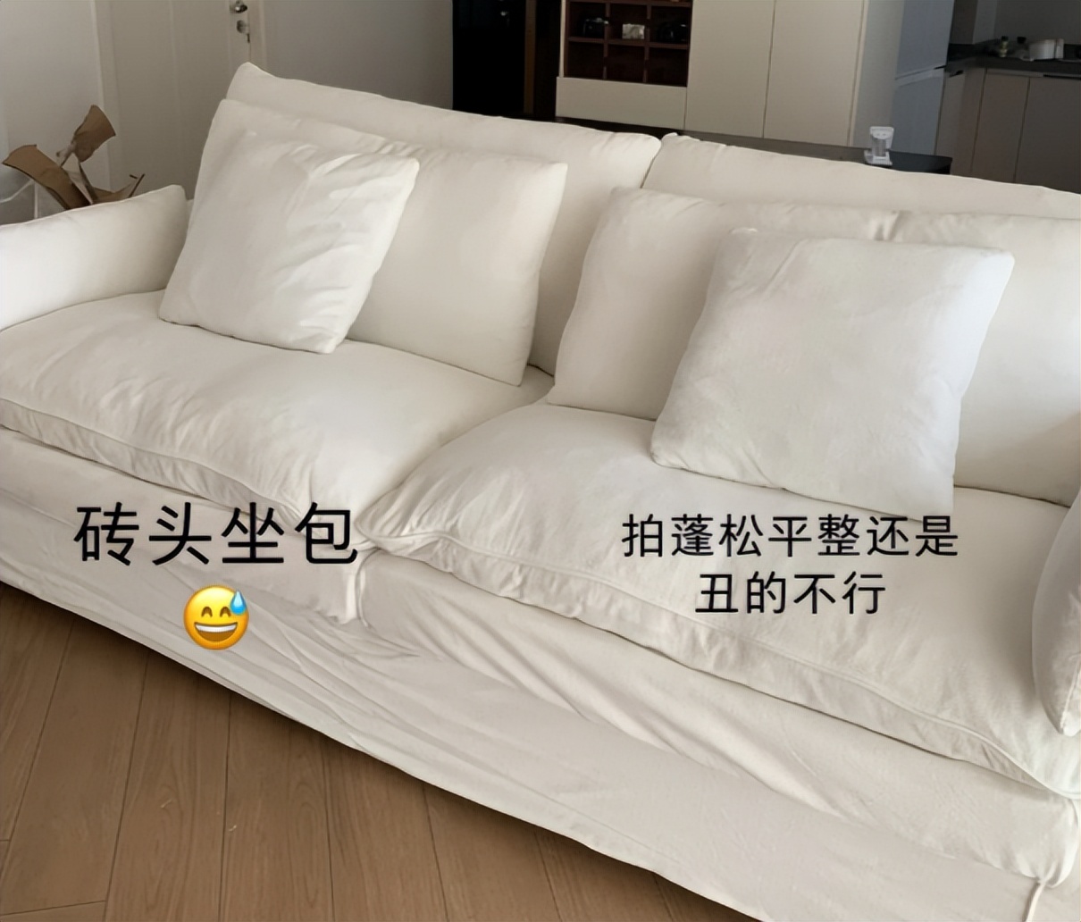 _被骗花钱买教训_花钱买的教训