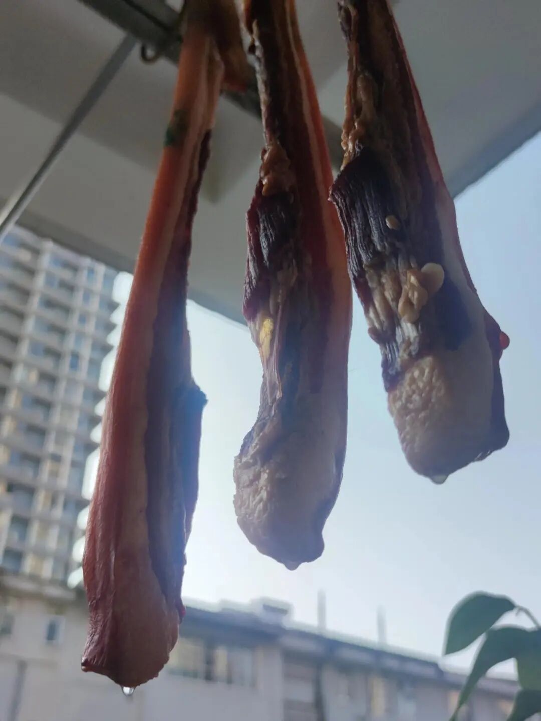 怎么搞定中年阿姨_中年阿姨用的表情包_