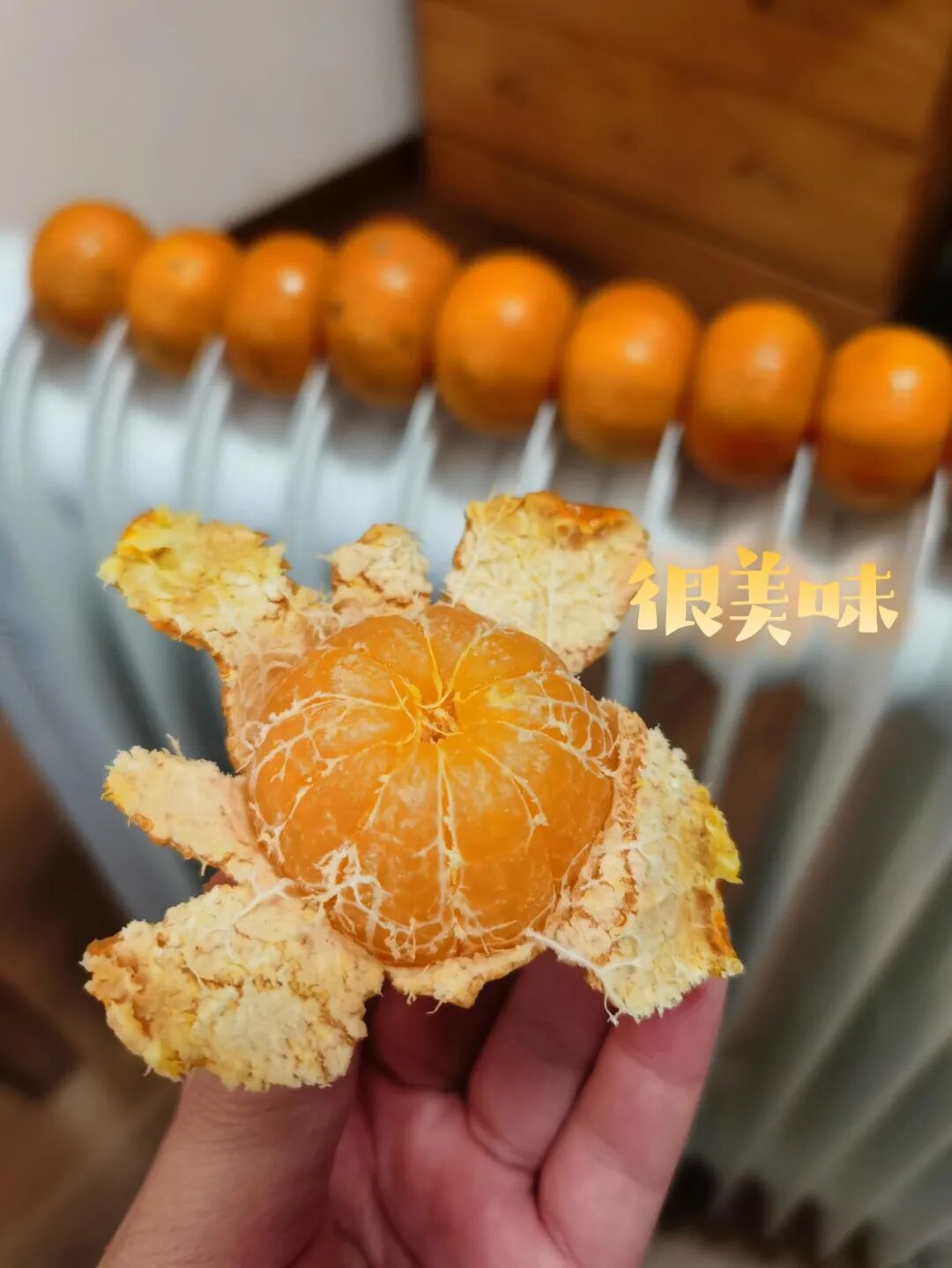 用电取暖电价优惠政策__取暖费电吗